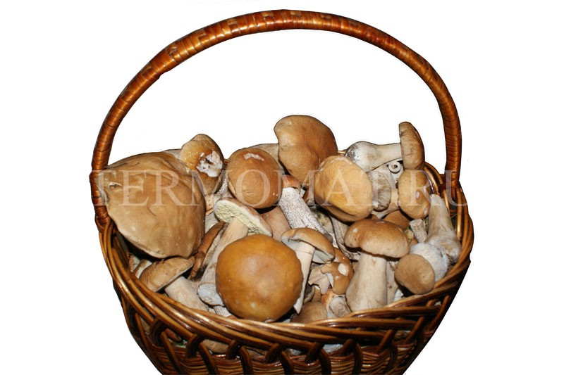 Сушилка для грибов - 
